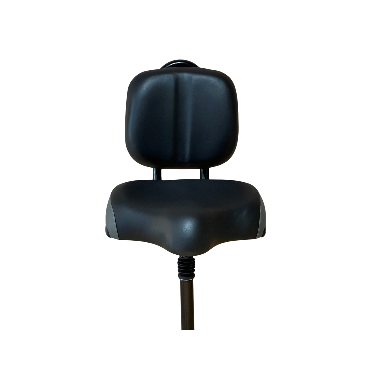 SNAPnGO Travel Seat with Backrest