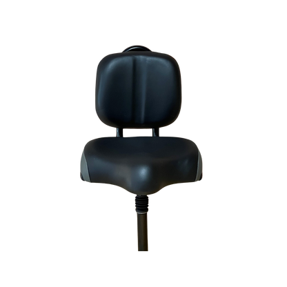 SNAPnGO Travel Seat with Backrest