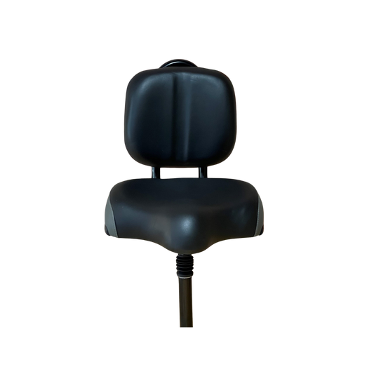 SNAPnGO Travel Seat with Backrest